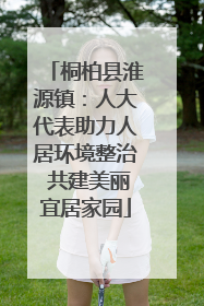 桐柏县淮源镇：人大代表助力人居环境整治 共建美丽宜居家园