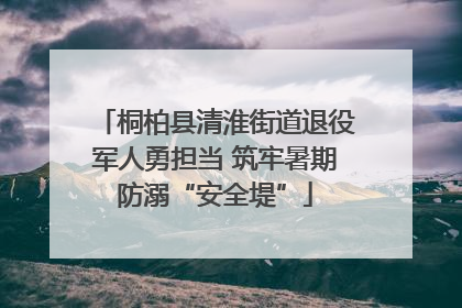 桐柏县清淮街道退役军人勇担当 筑牢暑期防溺“安全堤”