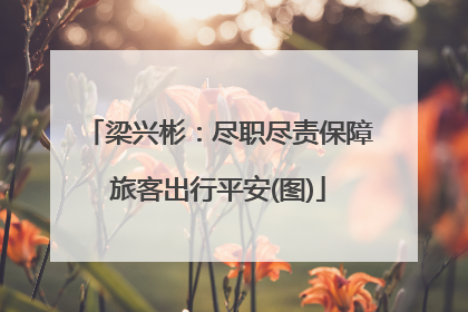 梁兴彬：尽职尽责保障旅客出行平安(图)