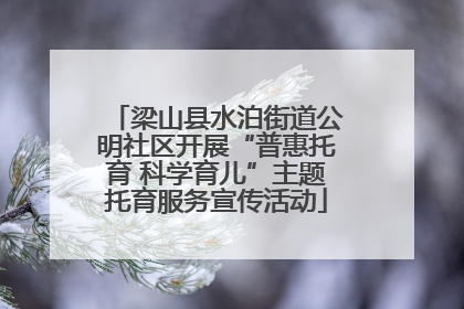 梁山县水泊街道公明社区开展“普惠托育 科学育儿”主题托育服务宣传活动