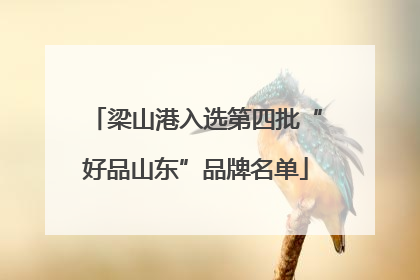 梁山港入选第四批“好品山东”品牌名单