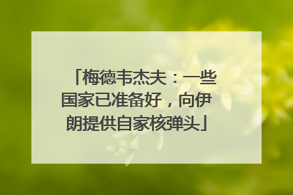 梅德韦杰夫：一些国家已准备好，向伊朗提供自家核弹头