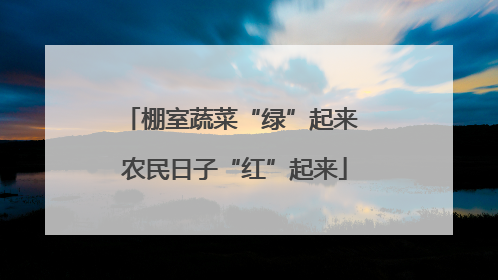 棚室蔬菜“绿”起来 农民日子“红”起来