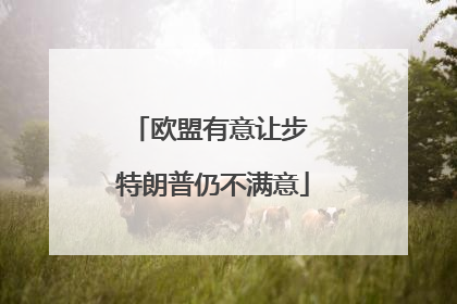 欧盟有意让步 特朗普仍不满意