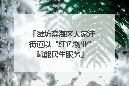 潍坊滨海区大家洼街道以“红色物业”赋能民生服务