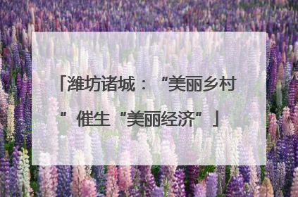 潍坊诸城：“美丽乡村”催生“美丽经济”
