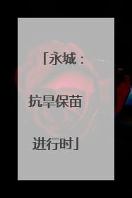 永城：抗旱保苗进行时