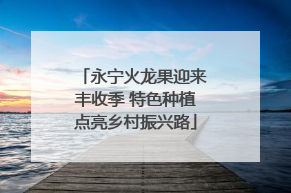 永宁火龙果迎来丰收季 特色种植点亮乡村振兴路