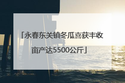 永春东关镇冬瓜喜获丰收 亩产达5500公斤