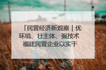 民营经济新观察｜优环境、壮主体、强技术 福建民营企业以实干担当聚势谋进