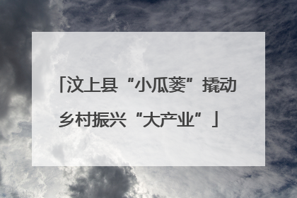 汶上县“小瓜蒌”撬动乡村振兴“大产业”