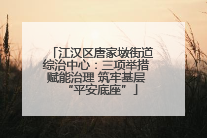 江汉区唐家墩街道综治中心：三项举措赋能治理 筑牢基层“平安底座”