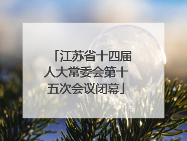 江苏省十四届人大常委会第十五次会议闭幕