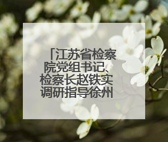 江苏省检察院党组书记、检察长赵铁实调研指导徐州检察工作