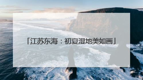 江苏东海：初夏湿地美如画