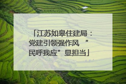 江苏如皋住建局：党建引领强作风 “民呼我应”显担当