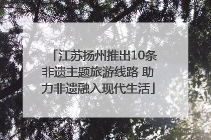 江苏扬州推出10条非遗主题旅游线路 助力非遗融入现代生活