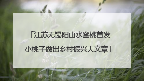 江苏无锡阳山水蜜桃首发 小桃子做出乡村振兴大文章