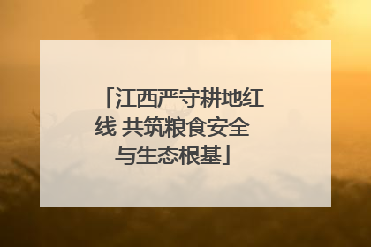江西严守耕地红线 共筑粮食安全与生态根基