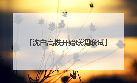 沈白高铁开始联调联试