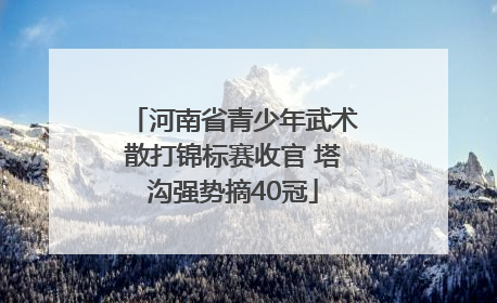河南省青少年武术散打锦标赛收官 塔沟强势摘40冠