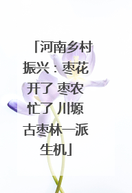 河南乡村振兴：枣花开了 枣农忙了 川塬古枣林一派生机