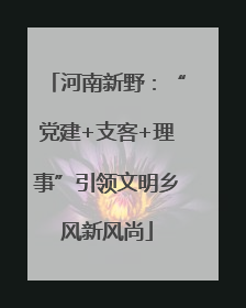 河南新野：“党建+支客+理事”引领文明乡风新风尚