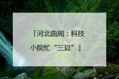 河北曲周：科技小院忙“三夏”