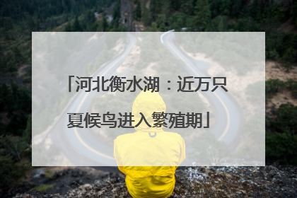 河北衡水湖：近万只夏候鸟进入繁殖期