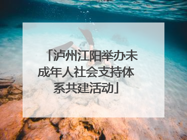 泸州江阳举办未成年人社会支持体系共建活动