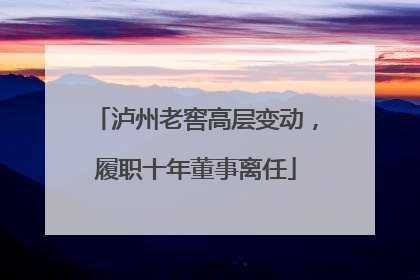 泸州老窖高层变动，履职十年董事离任