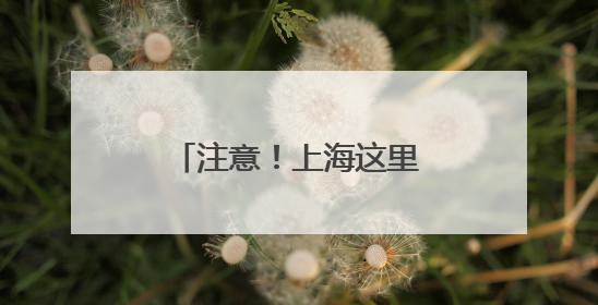 注意！上海这里“嘤嘤怪”出没！你见过没？！