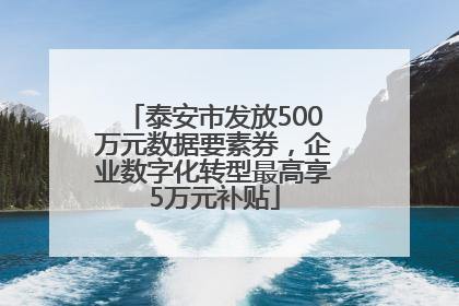 泰安市发放500万元数据要素券，企业数字化转型最高享5万元补贴
