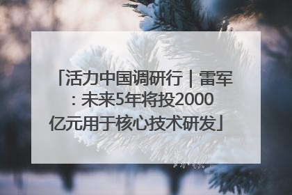 活力中国调研行｜雷军：未来5年将投2000亿元用于核心技术研发