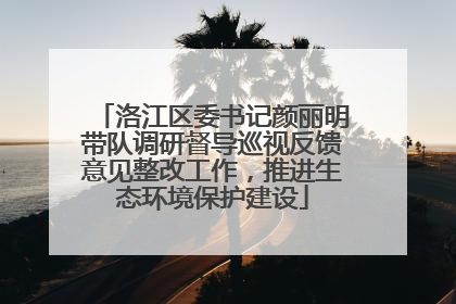 洛江区委书记颜丽明带队调研督导巡视反馈意见整改工作，推进生态环境保护建设