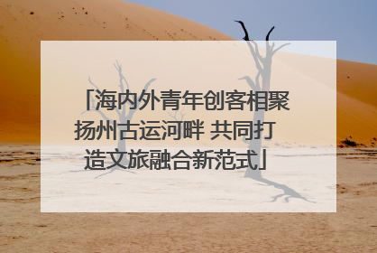 海内外青年创客相聚扬州古运河畔 共同打造文旅融合新范式