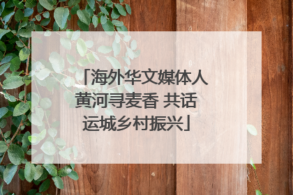 海外华文媒体人黄河寻麦香 共话运城乡村振兴
