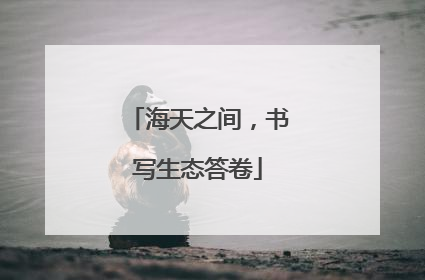 海天之间，书写生态答卷