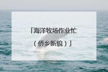 海洋牧场作业忙（侨乡新貌）
