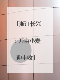 浙江长兴：万亩小麦迎丰收