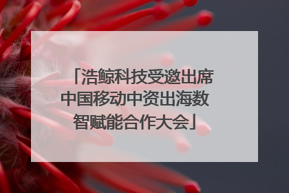 浩鲸科技受邀出席中国移动中资出海数智赋能合作大会