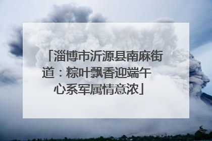 淄博市沂源县南麻街道：粽叶飘香迎端午 心系军属情意浓
