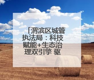 渭滨区城管执法局：科技赋能+生态治理双引擎 驱动城市品质“蝶变跃升”