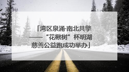湾区泉涌·南北共擎——“花楸树”杯明湖慈善公益跑成功举办