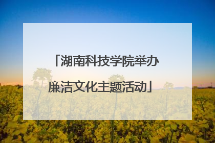 湖南科技学院举办廉洁文化主题活动