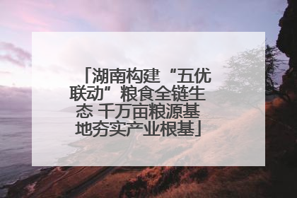 湖南构建“五优联动”粮食全链生态 千万亩粮源基地夯实产业根基