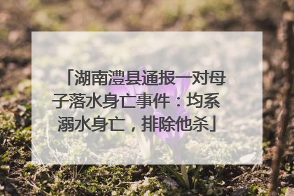 湖南澧县通报一对母子落水身亡事件：均系溺水身亡，排除他杀