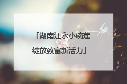 湖南江永小碗莲绽放致富新活力