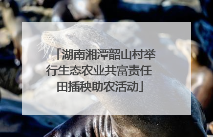 湖南湘潭韶山村举行生态农业共富责任田插秧助农活动