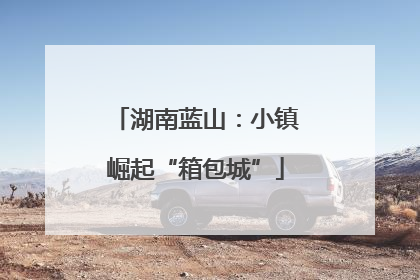 湖南蓝山：小镇崛起“箱包城”